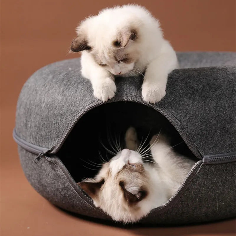 Cat House