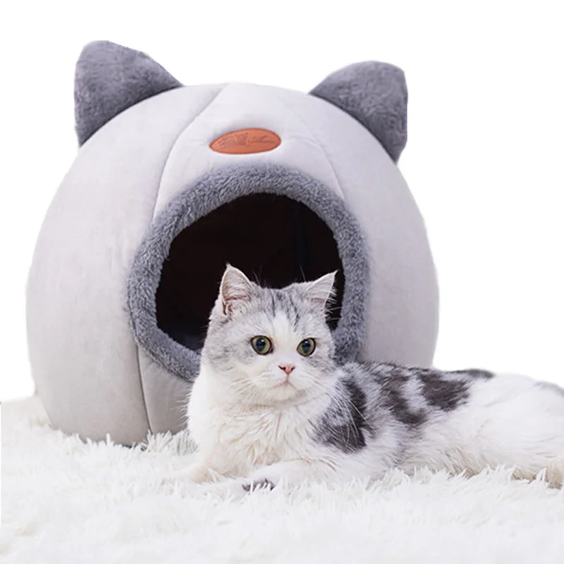 Cat Bed