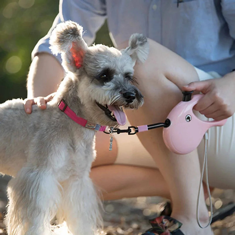 Dog's Durable Leash