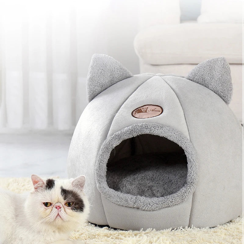 Cat Bed