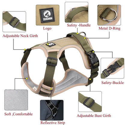 Adjustable Harness