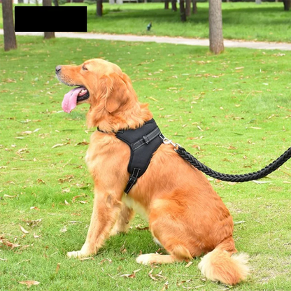 Dogs Adjustable Harness