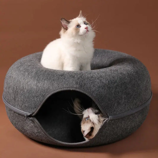 Cat House