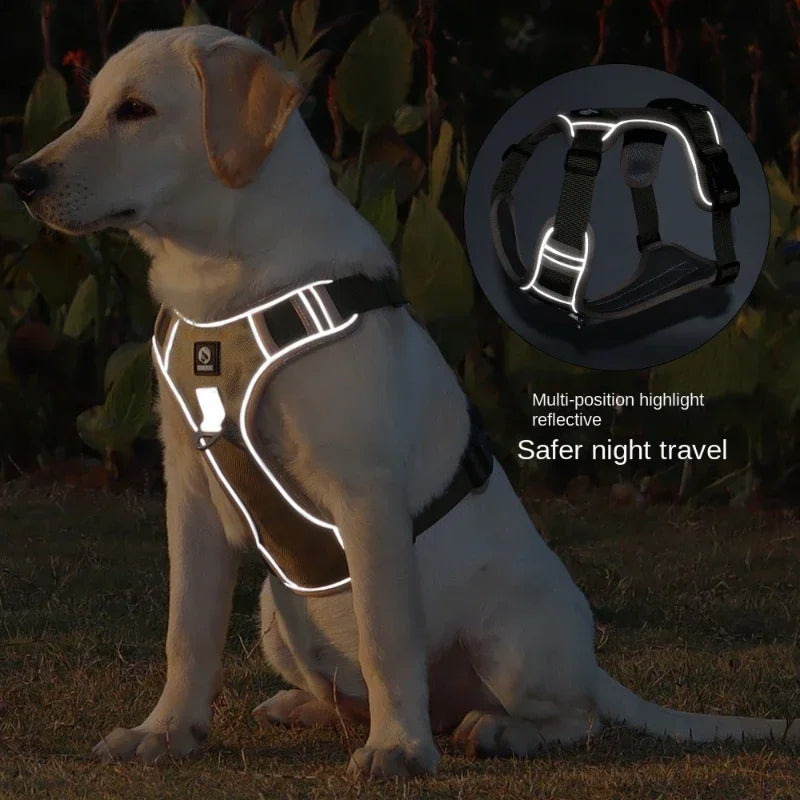 Adjustable Harness